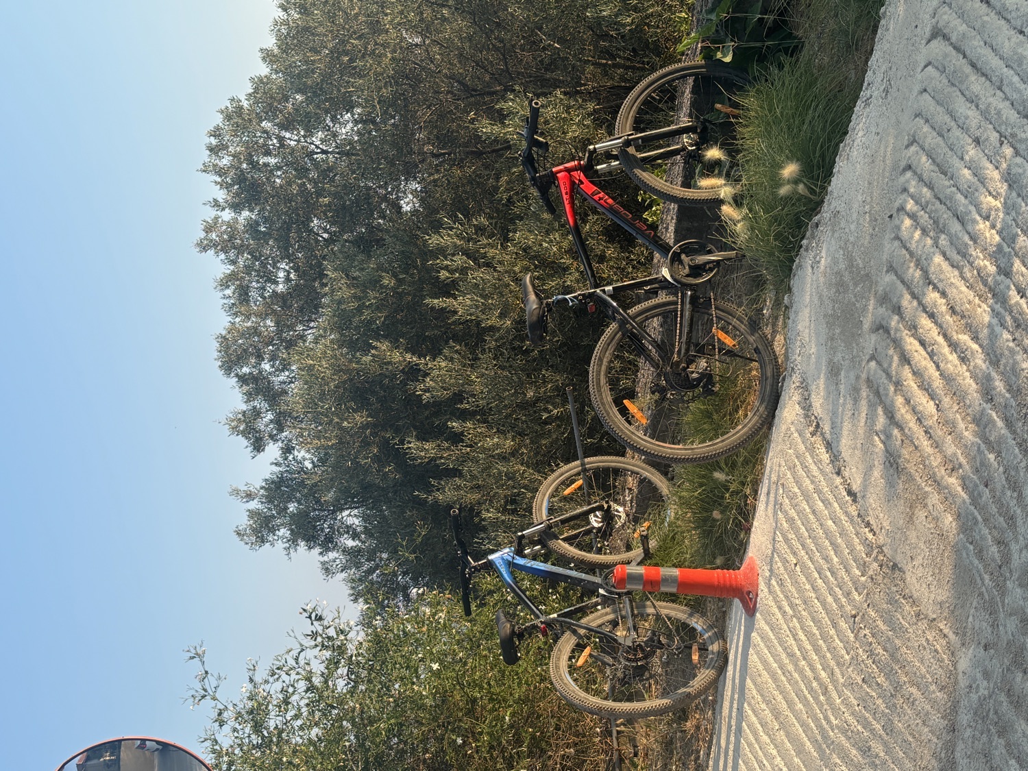 Two bikes, one blue and one red, in the late afternoon