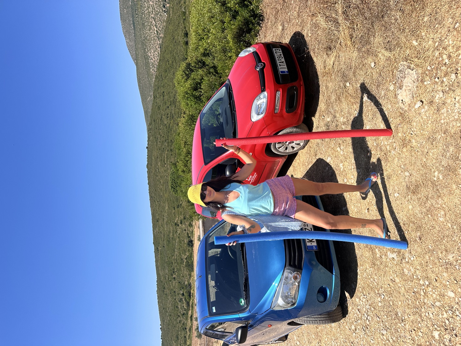 One blue car, one red car, and the pool noodles
