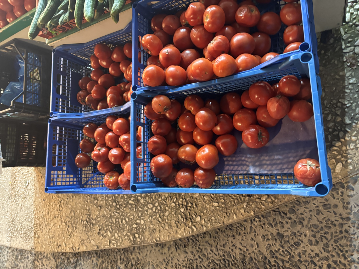 Red tomatoes in blue crates at the market
